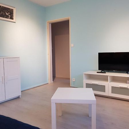 Le Bellevue Appartement Colmar Buitenkant foto